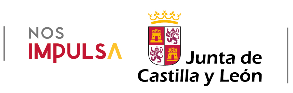 Web subvencionada por la Junta de Castilla y León